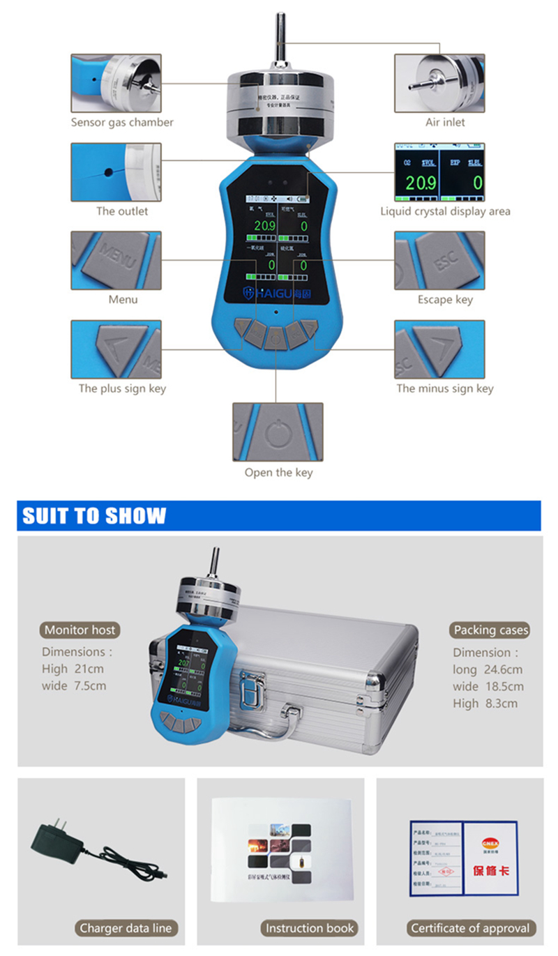 Haigu color HG-FB4 pump type four ggas tester